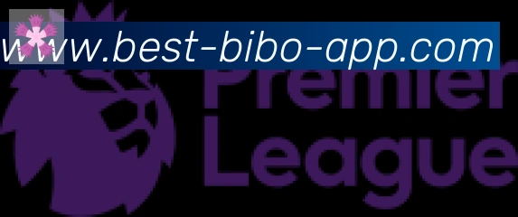 必博bibo官网体育合作伙伴